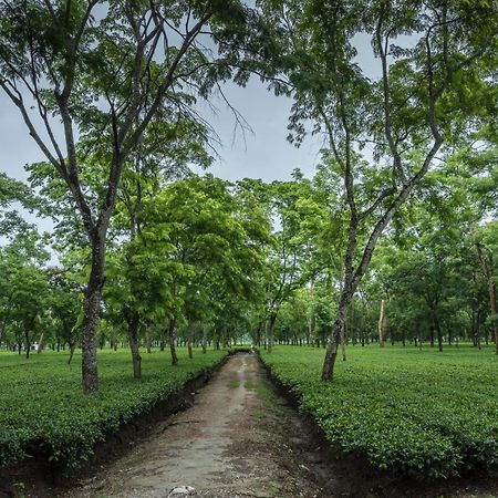 Отель Tusker Tea County Chalsa Экстерьер фото