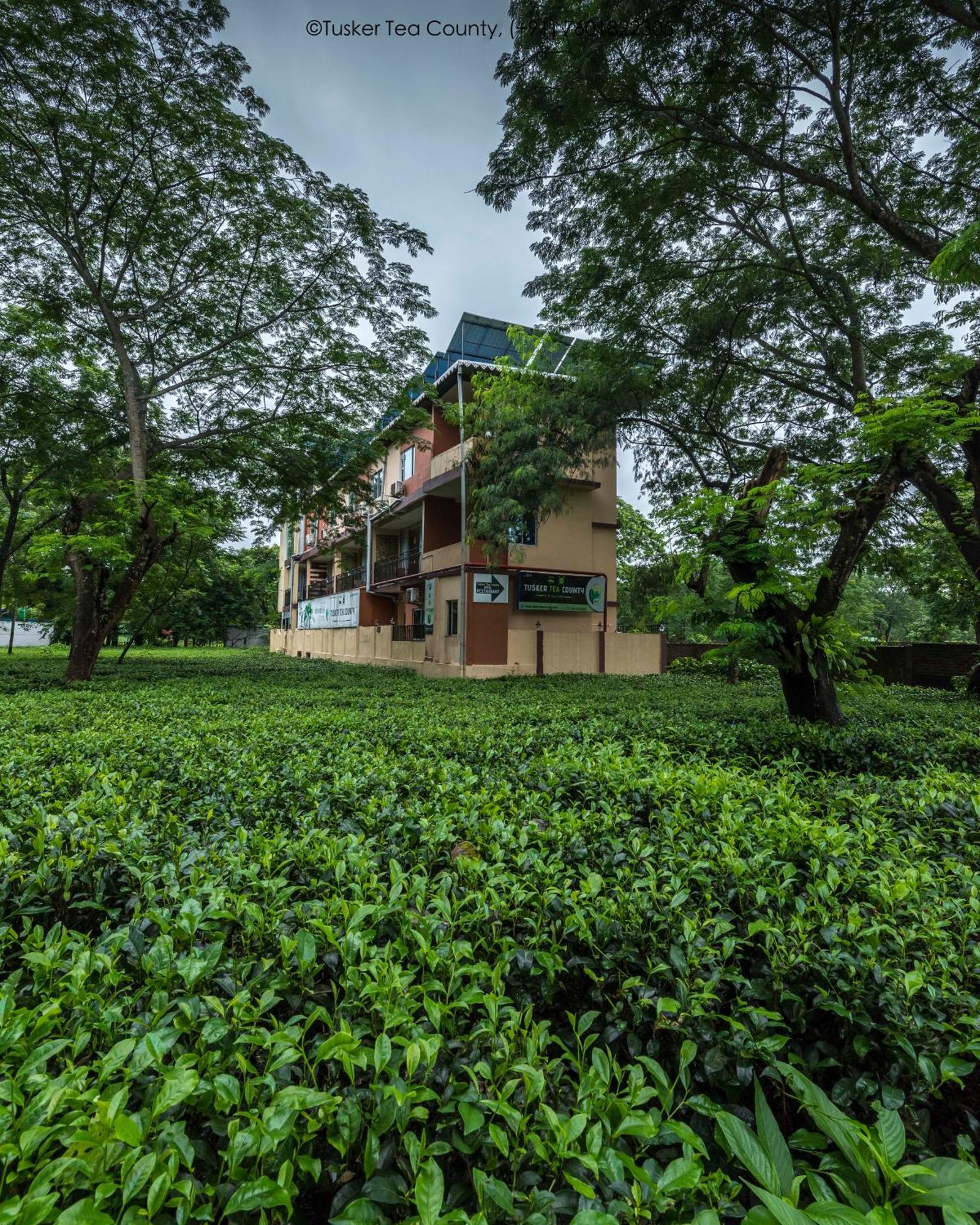 Отель Tusker Tea County Chalsa Экстерьер фото
